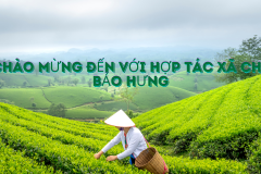 Thêm tiêu đề - 1