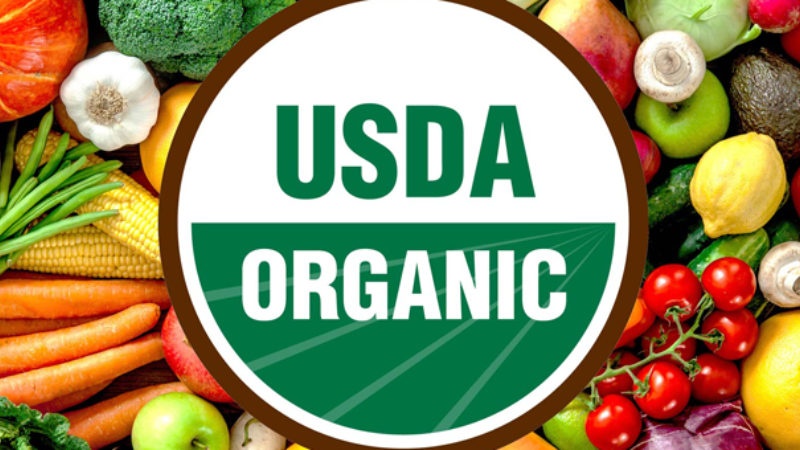 Rau organic là gì? Vì sao rau hữu cơ đắt hơn rau thường?
