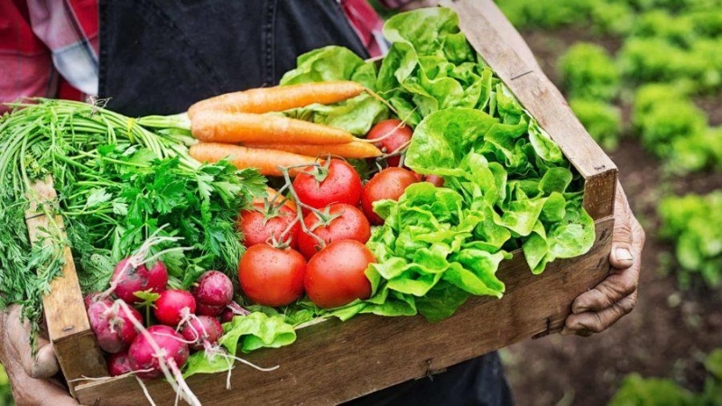 Rau organic là gì? Vì sao rau hữu cơ đắt hơn rau thường?